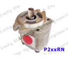 P2XXRN